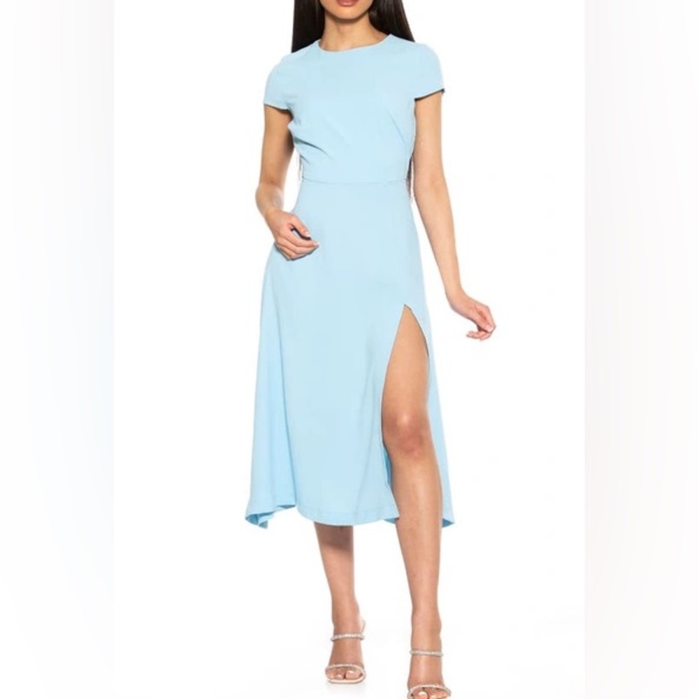 Alexia Admor Lily Midi Dress size 6